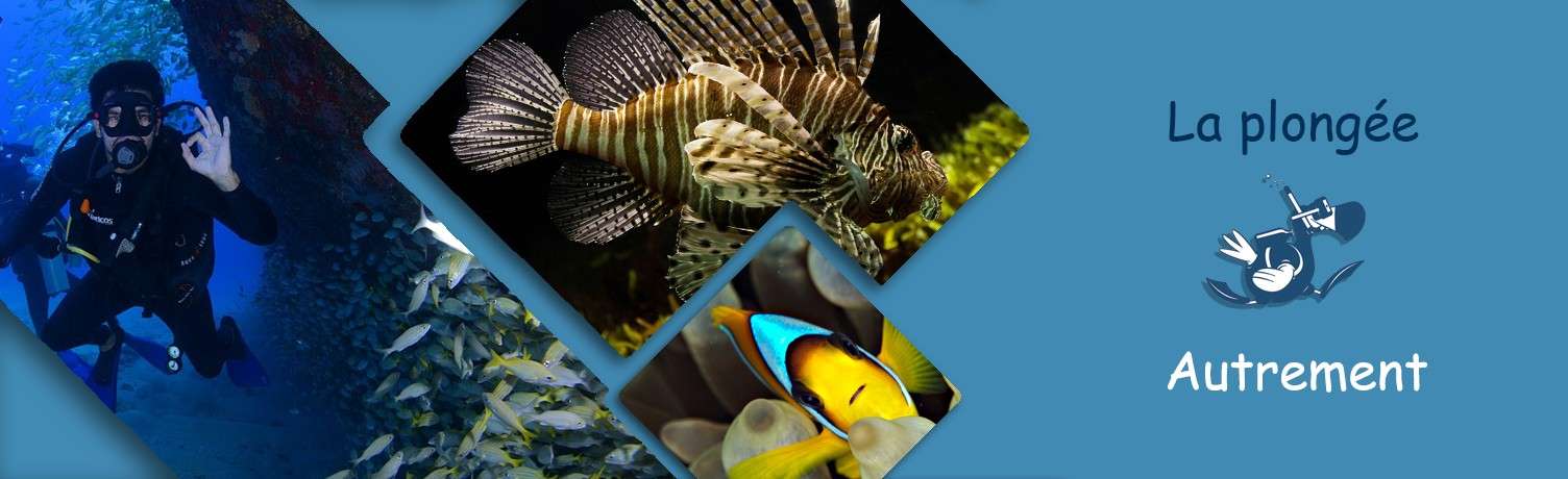 La Plongée Autrement à La Réunion
