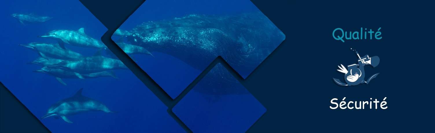 Qualité et Sécurité des plongées au Dodo Palmé