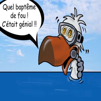 Baptême de Plongée avec le club de plongée le Dodo Palmé à La Réunion