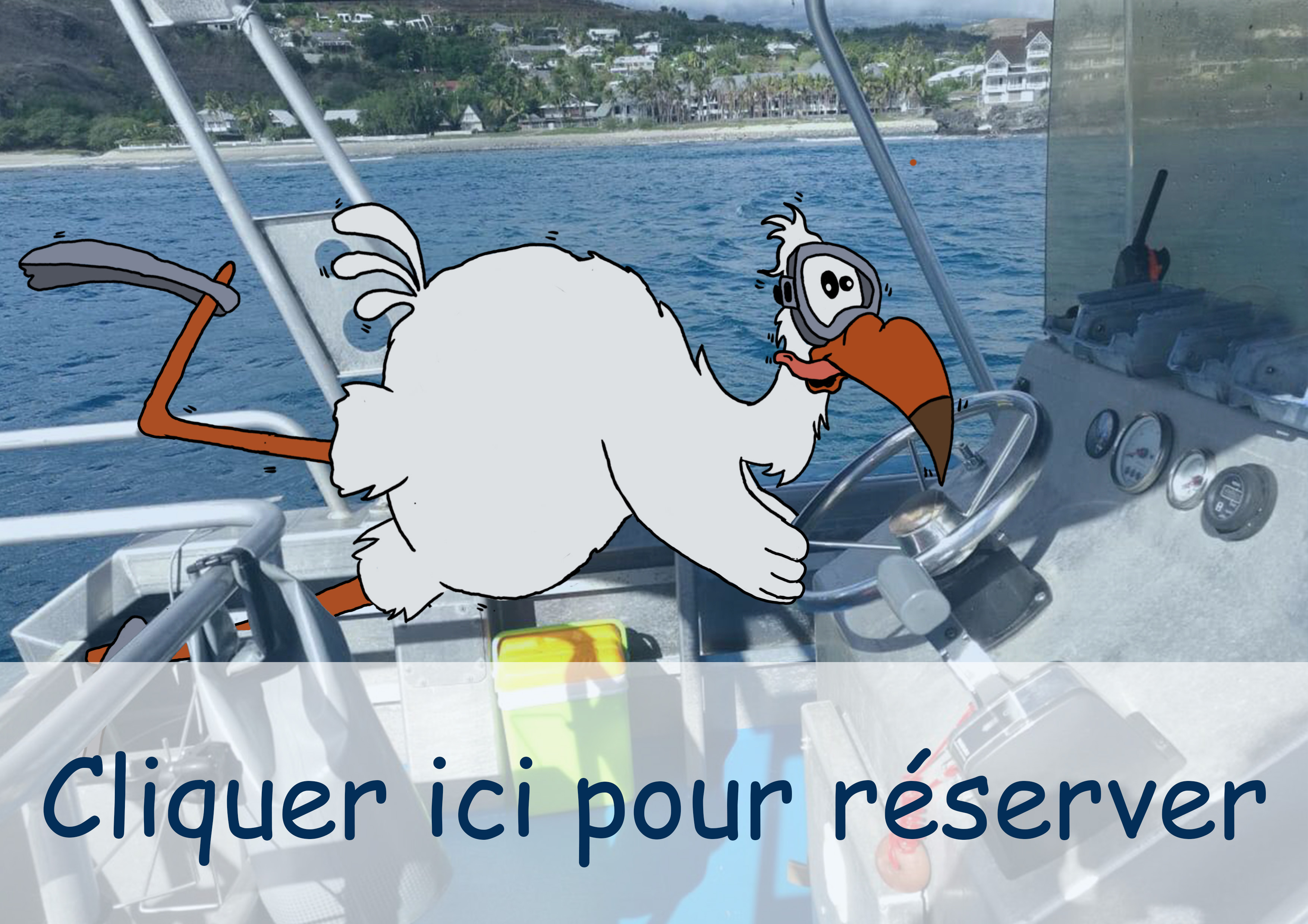 Permis Côtier | Plongée Réunion