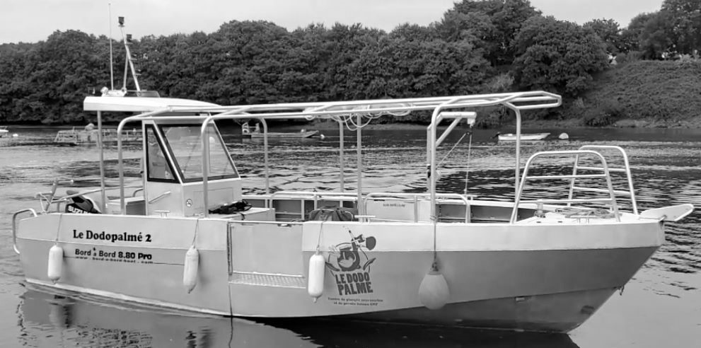 Bateau professionnel pour la plongée | La Réunion